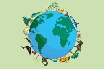 Preservação da Biodiversidade: O Compromisso Defendido por Ernani Rezende Kuhn