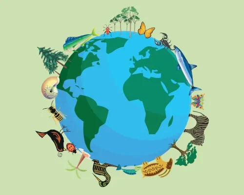 Preservação da Biodiversidade: O Compromisso Defendido por Ernani Rezende Kuhn